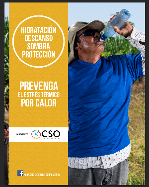 Afiche 3 estres termico.png